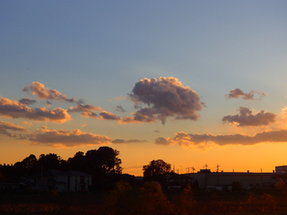 PB140459.jpg